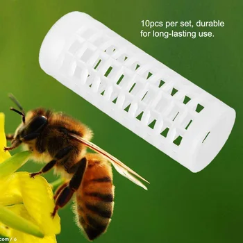 50/kos Queen Bee Kletko Izvoz Čebelarska Orodja Queen Bee Reja Polje Queen Bee Reja Tabela Panj Polje