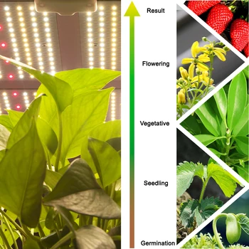 Celoten spekter led grow light Zamenjajte HPS/HID Hydroponics Samsung LED Čipov Kvantni Odbor Z UL Gonilnik za zdravilne rastline