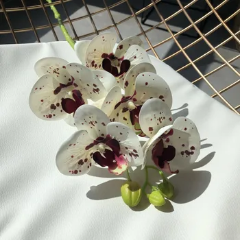 Pravi Dotik Metulja Orhideja Umetno Cvetje Doma Hotel Čaj Soba Dekoracijo Ponaredek Cvet 5 Glav 70 cm poroko