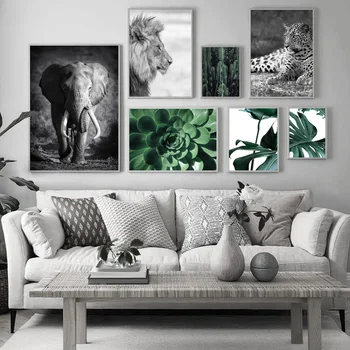 Slon, Lev, Leopard Kaktus Cvet Rastlin Wall Art Platno Slikarstvo Nordijska Plakatov In Fotografij Stenske Slike Za Dnevna Soba Dekor