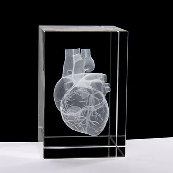 Srce Anatomija Model Design Crystal Cube 3D Laserski Kristali Graviranje S Podrobnimi Vidnih Krvnih Sistem Za Bolnišnično Spominkov