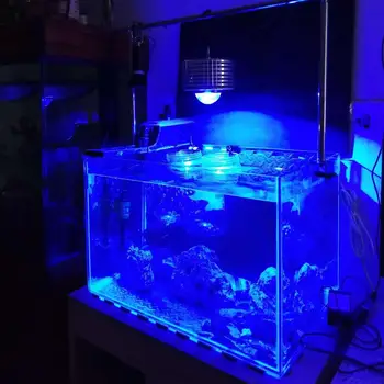 Akvarijih led luči 100W CREE Morski Koralni Greben Žarnice za Čarobno ribe Saltswater Sveža voda tank tank dodatki