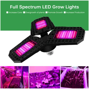 LED Ffs Žarnice E27 40 W 60 W 80W Celoten Spekter LED Grow Light AC100V-277V Phytolamp za Rastline v Zaprtih prostorih Semena, Cvetje Raste Svetilke