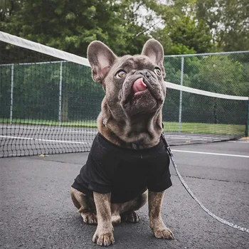 Pes Tshirt za Majhne Pse Poletje T-shirt za francoski Buldog Pet Oblačila za Chihuahua Kuža Pug XS-2XL PC1035