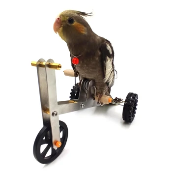 Smešno Parrot Mini Kovinsko Kolo Igrača za Ptice Usposabljanje Plaything Izobraževalne Interaktivne Rešitve za Parakeet Cockatiel Conure Lovebird