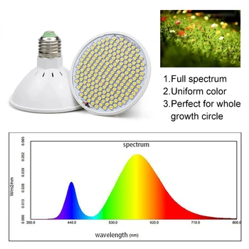 LED Ffs Žarnice E27 Polno Spectrum200/290 LED Grow Light AC100-277V Horticole Za uporabo v Zaprtih prostorih Sadike Cvet, ki Raste Šotor Polje