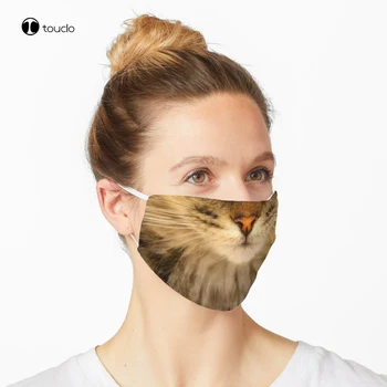Rjavo Tigrasta Mačka Maske Za Obraz Maska Filter Žep Krpo Ponovno Stroj