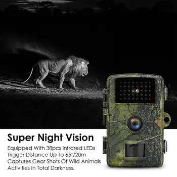 Lov 1080P Kamera 12MP IP66 Nepremočljiva Prostem Wildlife nadzorna Kamera w/ 2.4 v Zaslon Super Noč Različica širokokotni