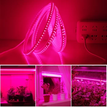 Rastlina Raste Luči 2835 Čip Nepremočljiva Celoten Spekter LED Trak za Rastline Cvet 220V 120LEDs/M Phytolamp za Rastejo Šotor Akvarij
