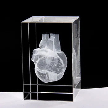 Srce Anatomija Model Design Crystal Cube 3D Laserski Kristali Graviranje S Podrobnimi Vidnih Krvnih Sistem Za Bolnišnično Spominkov