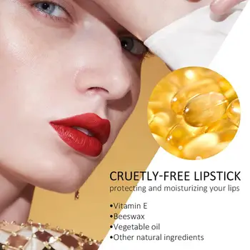 ZEESEA Novi Egipt Zbirk 10 Barv Trajne Nepremočljiva Hranljive Šminka Vlage Žamet Matt Golih Moda Lip Gloss