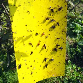 20/25/40/50PC 25X20cm Armyworm ploščo Dvojno Stranicami Lepljivo Pasti za Zajem Žuželke sadne muhe, komarji rumena Kontrastne barve