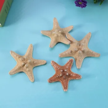 4pcs Sea Star Carfts Dekoracijo DIY Plaži Koči Dekor Morja Lupine za Poročne Fotografije Stranka Domov Dekoracijo(4-6 cm)