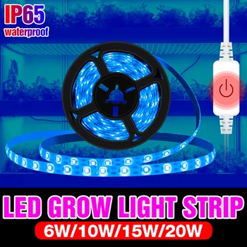 Celoten Spekter LED Rast Svetlobe USB Diod Trak 3M Dotik Stikala LED Ffs Svetilka 5 LED Rastlin Raste Luči Toplogrednih Vrt