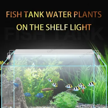 Posnetek na Kristalno Ujeti Aqua LED - led luči akvarij ujeti tank steno, Royal aquarium led osvetlitev, fish tank luč za koralni greben