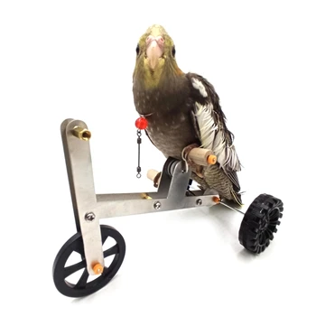 Smešno Parrot Mini Kovinsko Kolo Igrača za Ptice Usposabljanje Plaything Izobraževalne Interaktivne Rešitve za Parakeet Cockatiel Conure Lovebird
