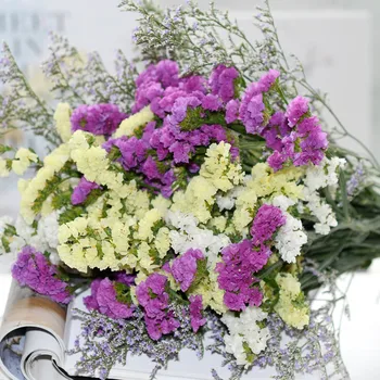 20pcs Bela Svetloba Vijolično barvo posušene forget-me-not cvet kup naravne rastline božična poroka dekoracija, cvetje