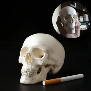 Mini Lobanje Človeških Anatomskih Anatomiji Glave Medicinski Model Priročno 92x99x71mm